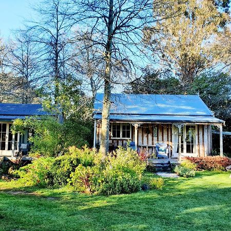Bumblebee Cottage Greytown Esterno foto