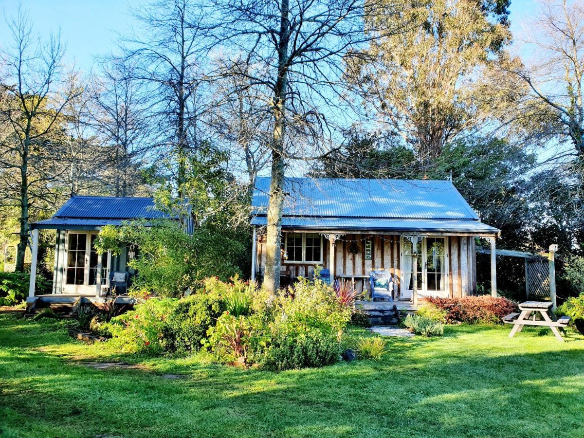 Bumblebee Cottage Greytown Esterno foto