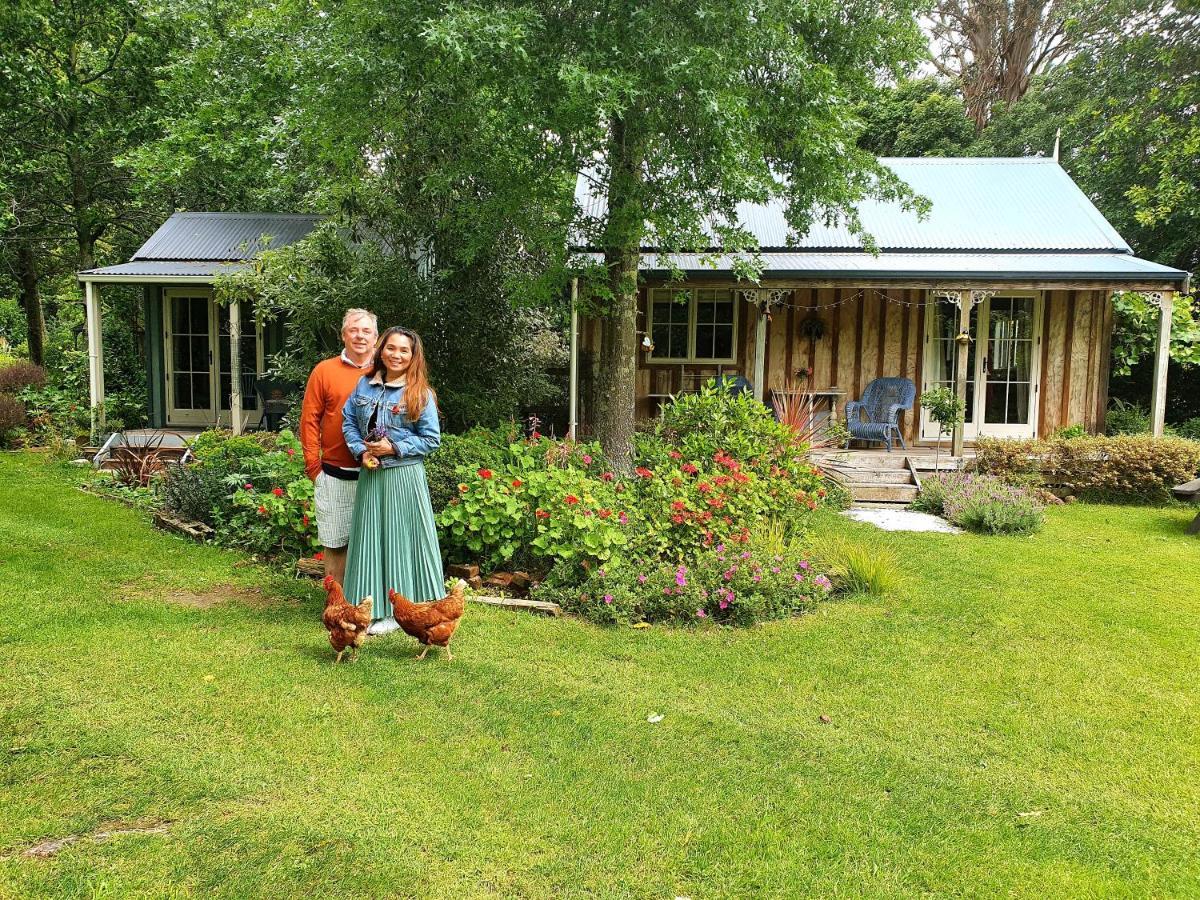 Bumblebee Cottage Greytown Esterno foto