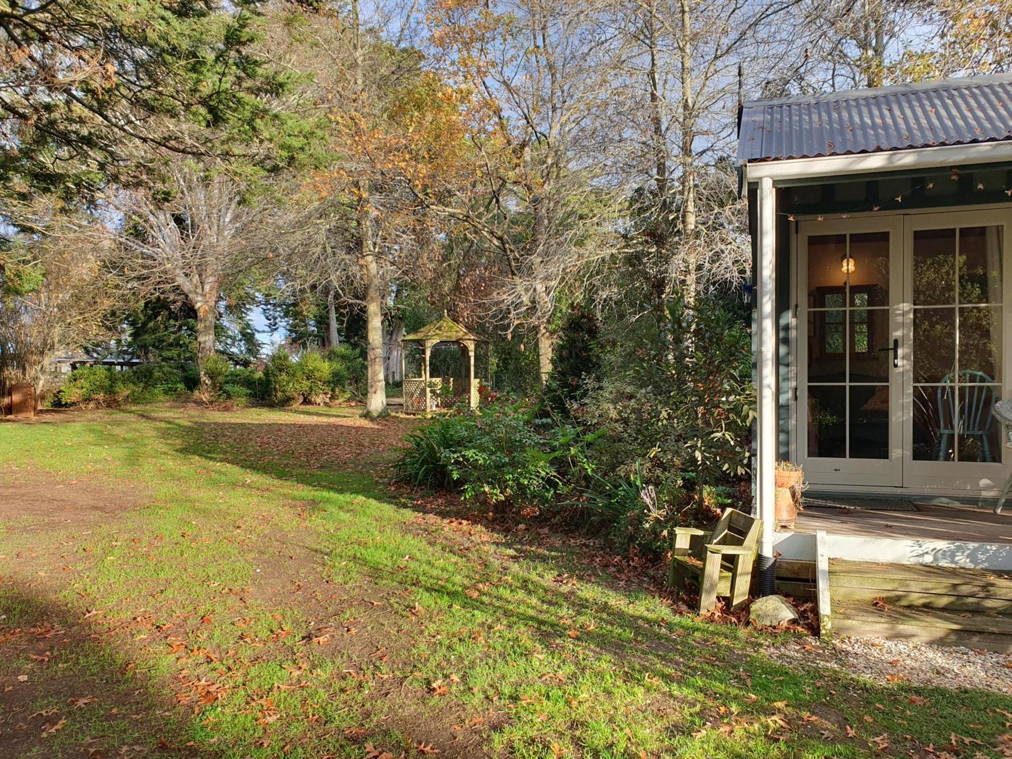 Bumblebee Cottage Greytown Esterno foto