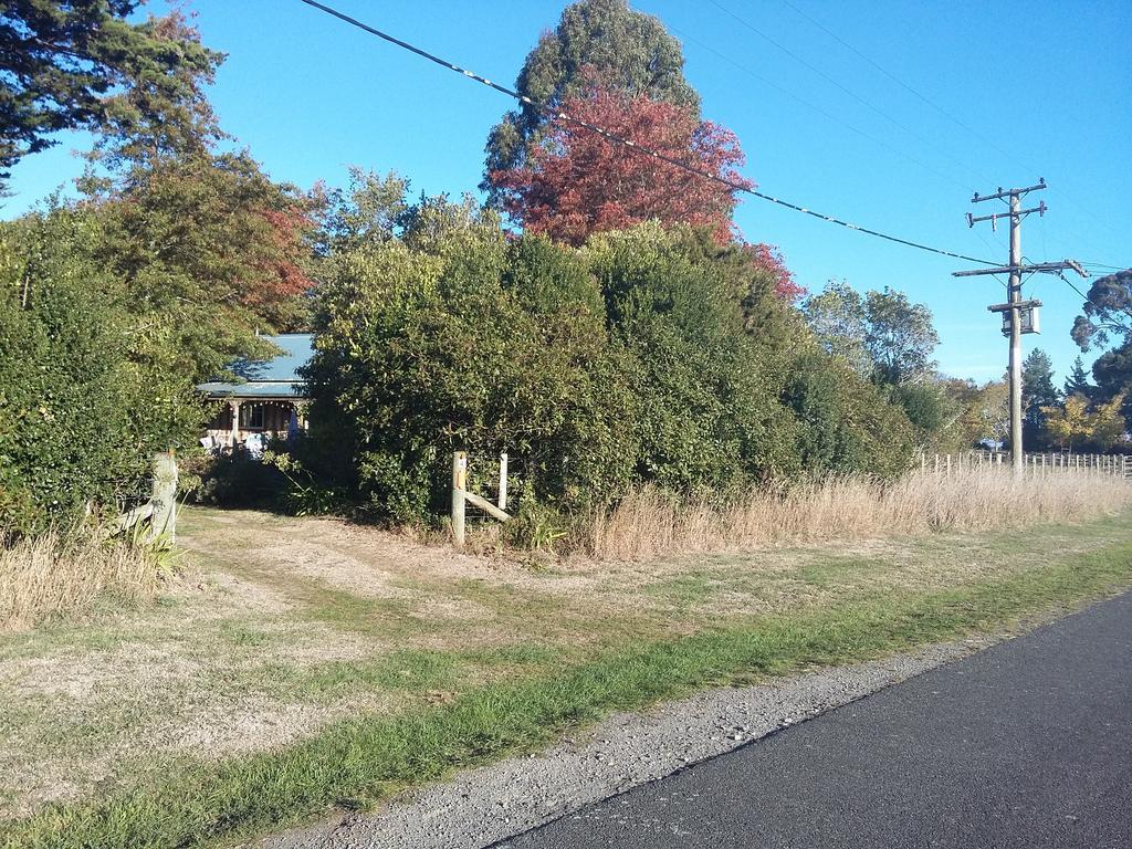 Bumblebee Cottage Greytown Esterno foto